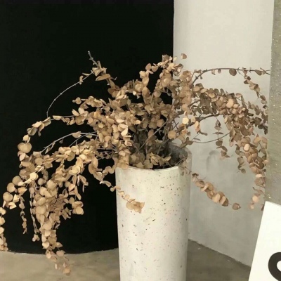 Furry绘画质感灵感Furry群